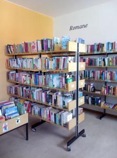Bücherei mit Regalen und Büchern 