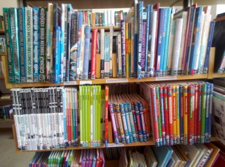 Bücherregal mit vielen Büchern 